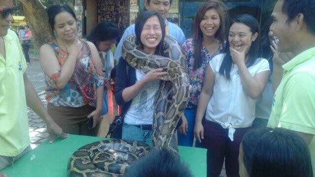 Never drape a constrictor around the neck
