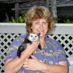 Johnson-Delaney with Ginny the opossum