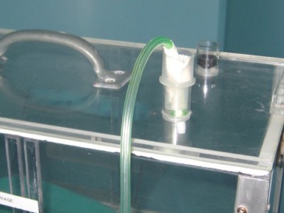 Shown here, un-humidified oxygen is piped into the makeshift ICU cage via an anesthetic machine.
