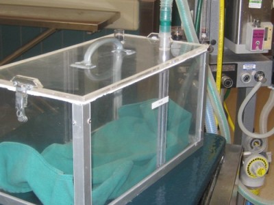 A makeshift ICU cage can by created by running oxygen into an induction chamber.