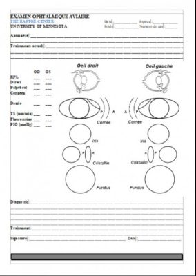 Formulaire d’Examen Oculaire Aviaire 2