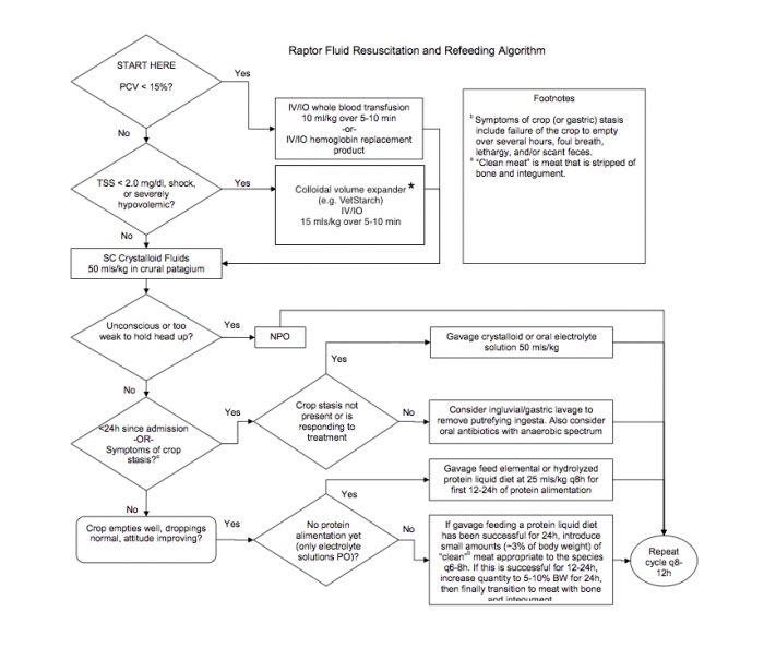 Raptor fluid resuscitation and refeeding algorithm
