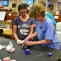 Dr. Ponder leads a bandaging wetlab