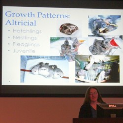 Dr. Rebecca Duerr of International Bird Rescue lectures at Western University’s 2014 ZWEACC Conference.