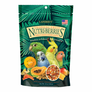 Tropical Fruit Nutri-Berries Small Bird Food