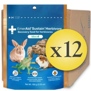 Case of 12 EmerAid Sustain Herbivore Mint 100g pouch