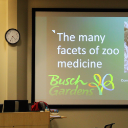 Dominique Keller, senior veterinarian at Busch Gardens Tampa Bay spoke to Auburn University's Zoo, Exotics, and Wildlife Club about her schooling and experiences, as well as her path to achieve training in zoological medicine. Dr. Keller then concluded with an open forum Q+A with the students.
