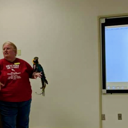 Dr. Julie Burge led an Avian Handling & Techniques lab at the University of Missouri, April 2019