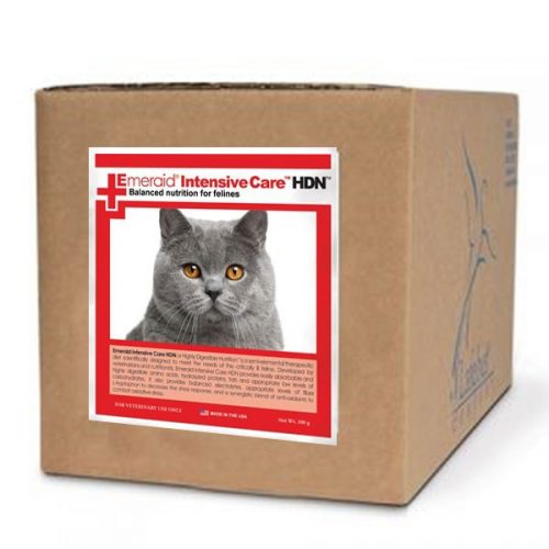 Emeraid Intensive Care HDN Feline case