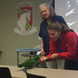 North Carolina State University College of Veterinary Medicine Parrot Behavior Wetlab, led by Phoenix Landing.