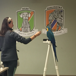 North Carolina State University College of Veterinary Medicine Parrot Behavior Wetlab, led by Phoenix Landing.