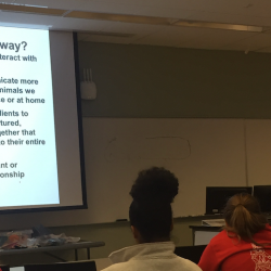 North Carolina State University College of Veterinary Medicine Parrot Behavior Wetlab, led by Phoenix Landing.