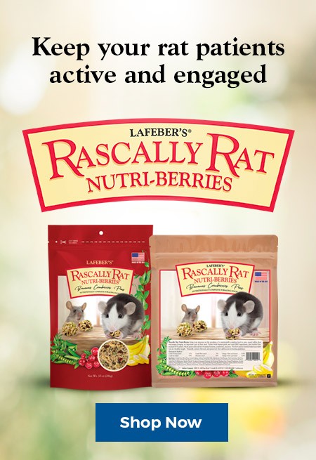 Rascally Rat Nutri-Berries