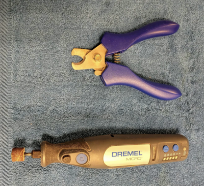 Dog nail trimmers (left) and a rotary hand tool with sanding bur (right) are useful equipment for the mini pig hoof trim