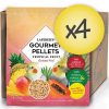 Case of 4 Cockatiel Tropical Fruit Gourmet Pellets 4 lbs (1.8 kg)