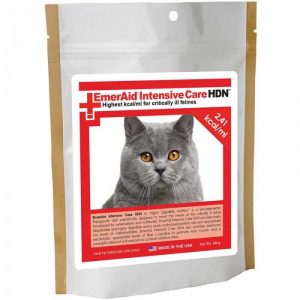 30411-V2-FIC-HDN-100G-JUL20-WEB