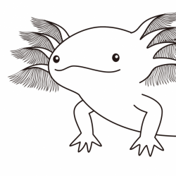 Axolotol line drawing