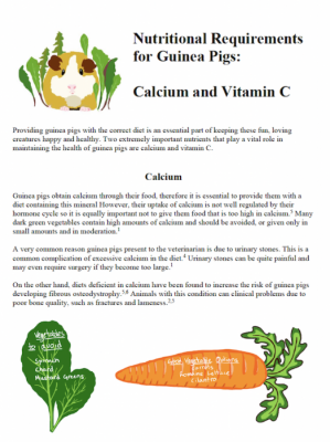 Calcium and Vit C handout screenshot