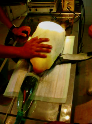 A plastic bottle has been modified to serve as a face mask. Photo: Dr. Lorenzo Crosta 