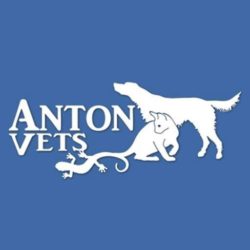 AntonVets