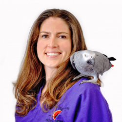 Brenna Fitzgerald, DVM, DABVP (Avian Practice)