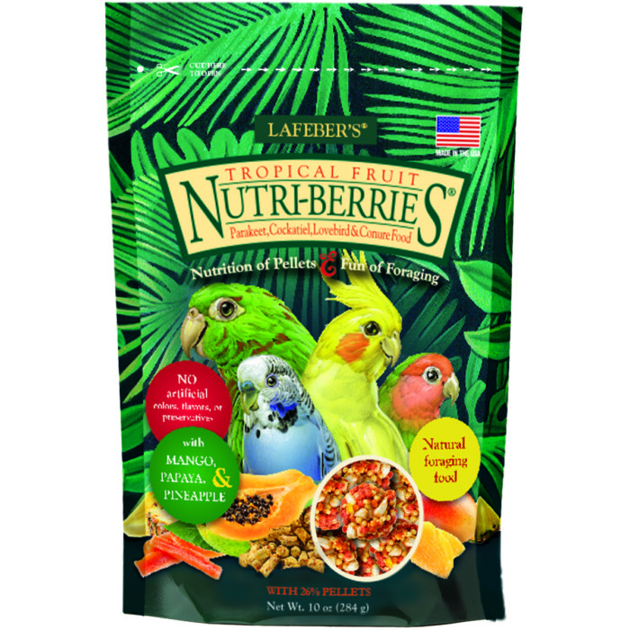 Tropical Fruit Nutriberries for small birds