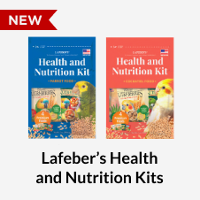 Health and Nutrition kits