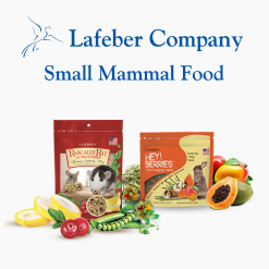 Small Mammal Food