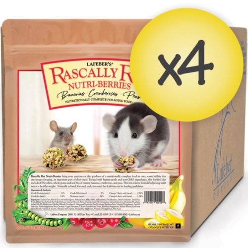 42512C Rascally Rat Case Image