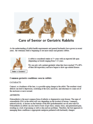 Geriatric Rabbit Page 1