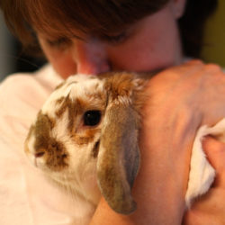 Bunny Cuddle Alex FCC cropped square