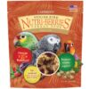 Senior Nutri-Berrie Parrot