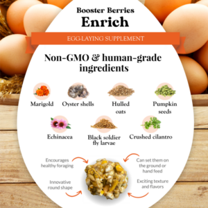 Enrich