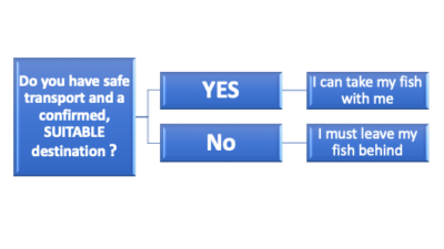 fish evacuation algorithm