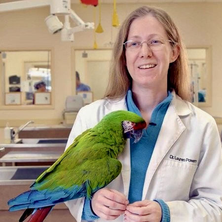 2024 T.J. Lafeber Avian Practitioner of the Year - LafeberVet