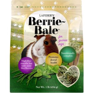 Berrie-Bale Mint for Guinea Pigs 1 lb (454 g)