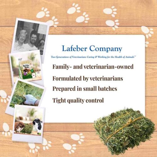 Berrie-Bale Mint for Rabbits 1 lb (454 g) - Lafeber Co.