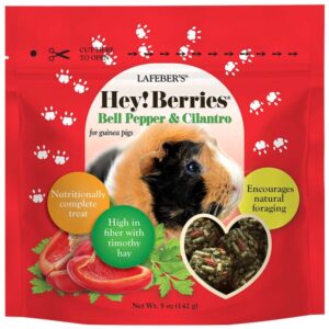 Hey!Berries Bell Pepper and Cilantro for Guinea Pigs 5 oz (142 g)
