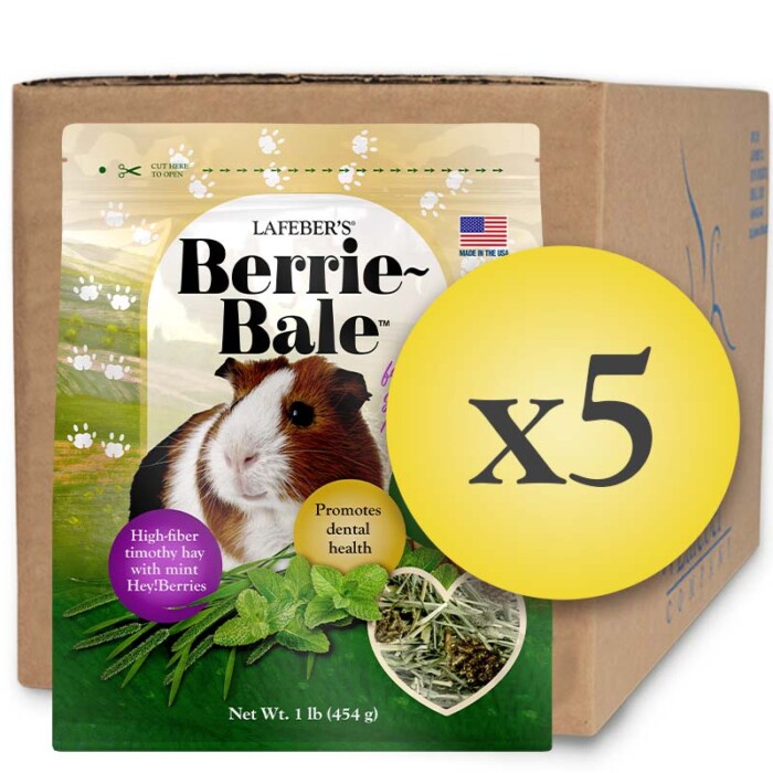 44122-Berrie-Bales-Guinea-Pig-1lb-Case-MAR25-WEB