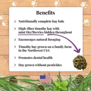 Benefits -Guinea Pig