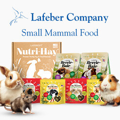 Small Mammal Food