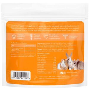 46100-V2-Vitamin-C-3.5-oz-0226-WEB