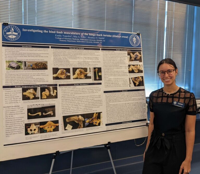 Advanced imaging and anatomy research opportunities in avian and exotic animal species