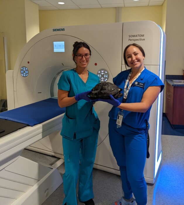 Advanced imaging and anatomy research opportunities in avian and exotic animal species