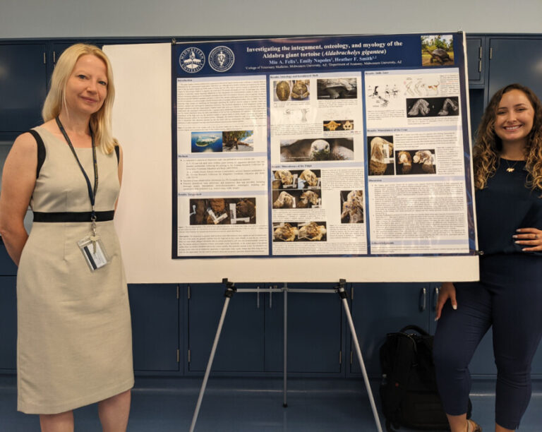 Advanced imaging and anatomy research opportunities in avian and exotic animal species