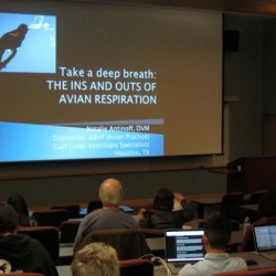The title slide from Dr. Natalie Antinoff’s first lecture at the 2014 AEMC Symposium.