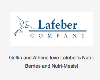 Lafeber Company is a sponsor of The Alex Foundation