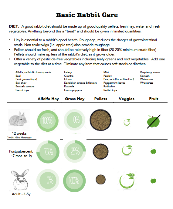 Rabbit Feeding Chart