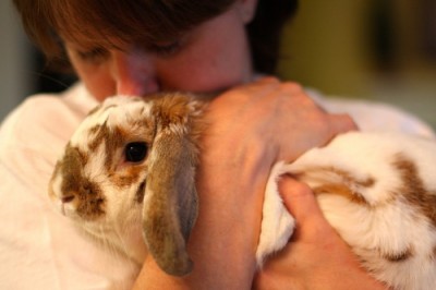 Bunny cuddle Alex FCC