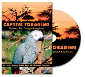Captive Foraging DVD by M. Scott Echols